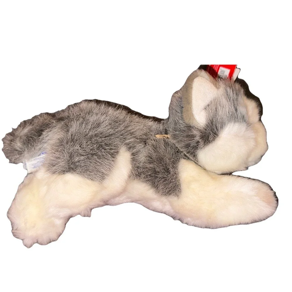 Aurora babies husky